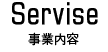 事業内容